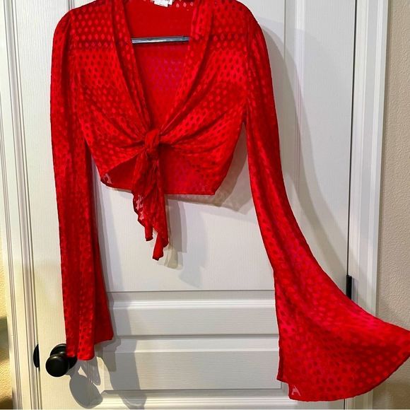 Lovers + Friends Tops - Lovers + Friends Cropped Sheer Long Sleeve Tie Shirt
